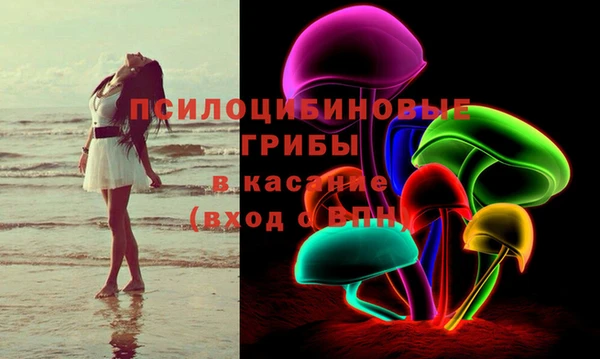 ГАЛЛЮЦИНОГЕННЫЕ ГРИБЫ Алексин