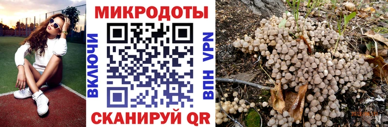 Псилоцибиновые грибы Magic Shrooms  где продают   Солигалич 