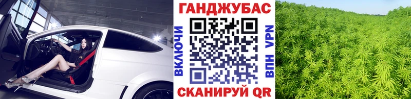 блэк спрут ТОР  Солигалич  Бошки марихуана индика 
